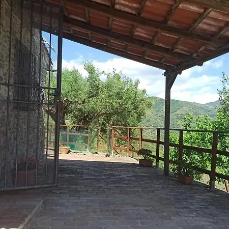 Lidia אשאה